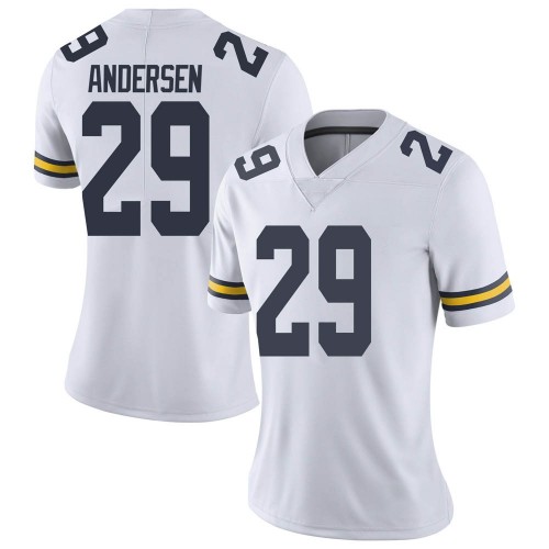 Rhett Andersen Michigan Wolverines Women's NCAA #29 White Limited Brand Jordan College Stitched Football Jersey LMZ7654OV